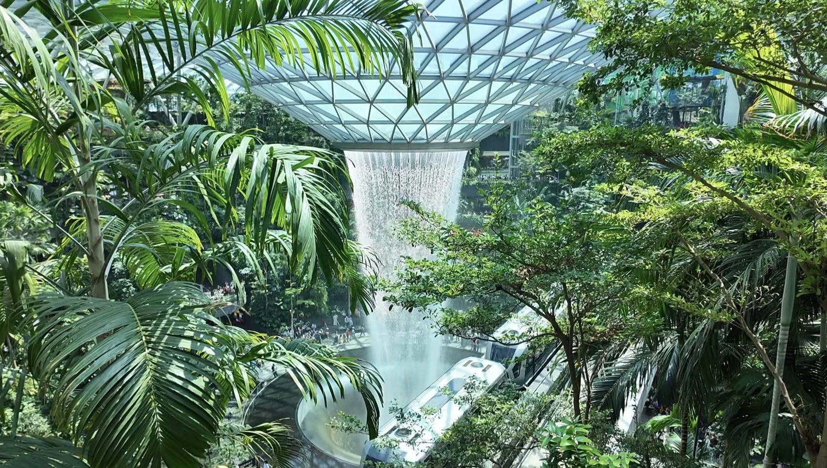 Jewel Rain Vortex seen through tropical foliage